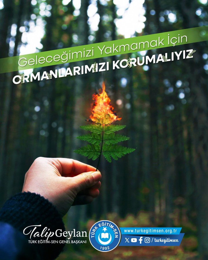 A hand holding a small tree branch with green leaves and a flame at its tip, set against a forest background. Text overlay reads "Geleceğimizi Yakmamak İçin ORMANLARIMIZI KORUMALIYIZ" in white and green, and "Talip Geylan Eğitim Başkan" with a logo at the bottom. A watermark from Türkiye İşçi Sendikası is visible.