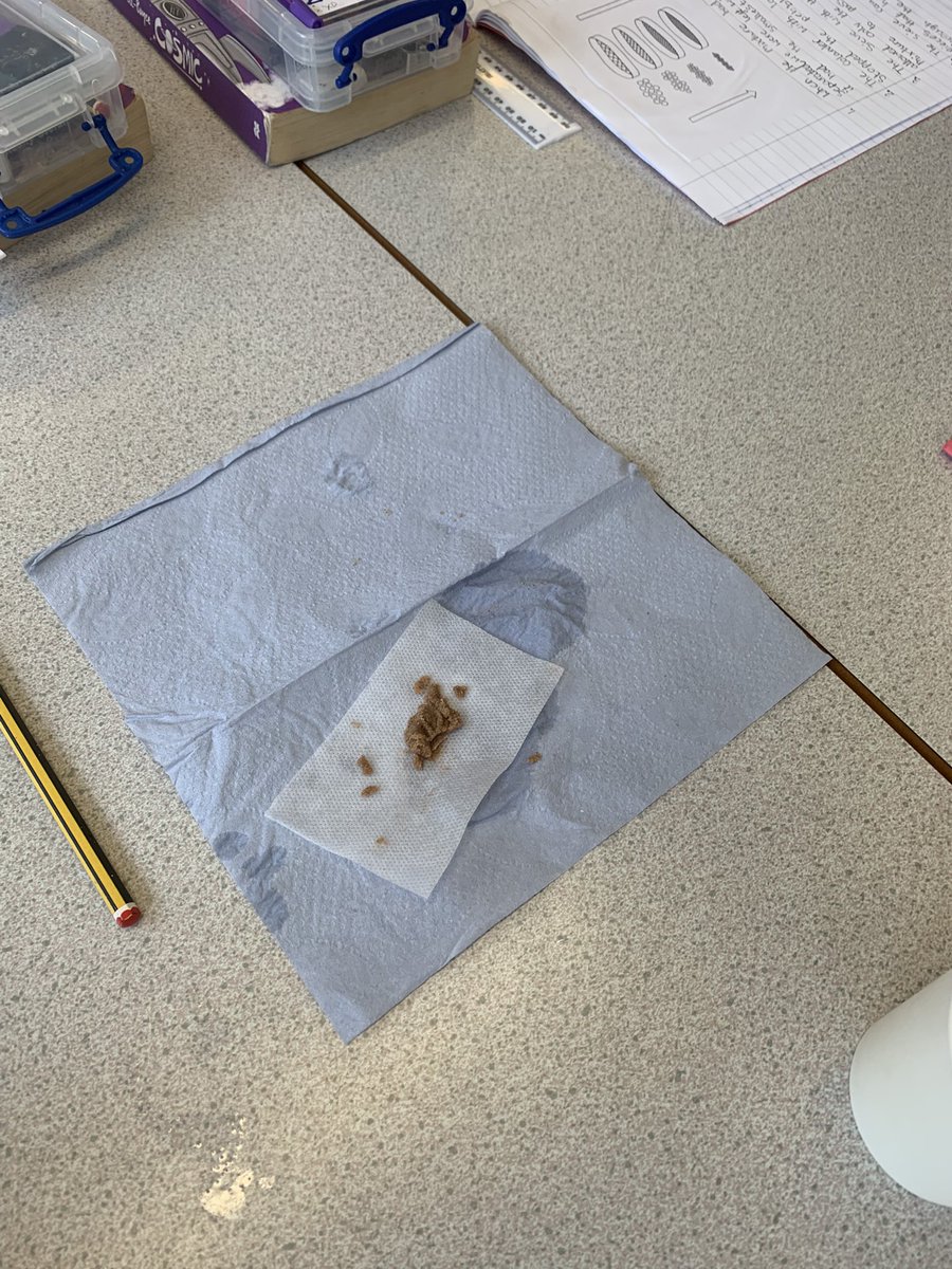 Image for the Tweet beginning: Class 10 explored separation techniques