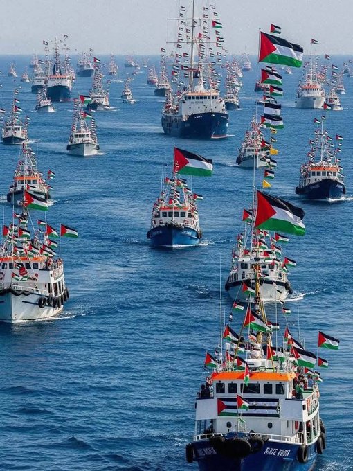 Numerous boats on the sea, adorned with Palestinian flags and other colorful flags. The boats are closely packed, sailing together in a coordinated manner. The water is calm and blue, extending to the horizon under a clear sky.