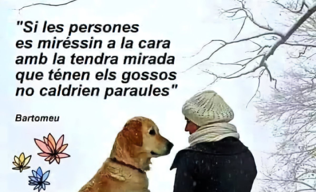 Gaudiu d un bon cap d setmana, gent bonica👍😘😘