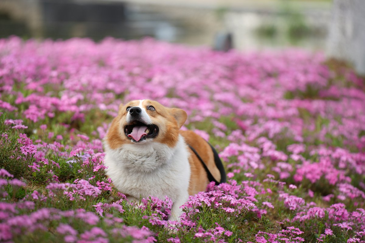 That feeling when you decide to take the next step in your PR career! Join us next month for a virtual informational session on Accreditation in Public Relations. #PRSA #APR #PR 

prsaftl.org/content.aspx?p…