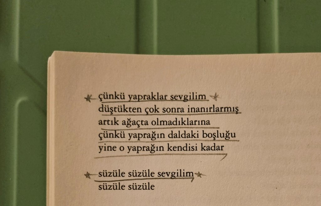 " Çünkü yapraklar sevgilim
düştükten çok sonra inanırlarmış artık o ağaçta olmadıklarına..."
Artık o ağaçta değilim