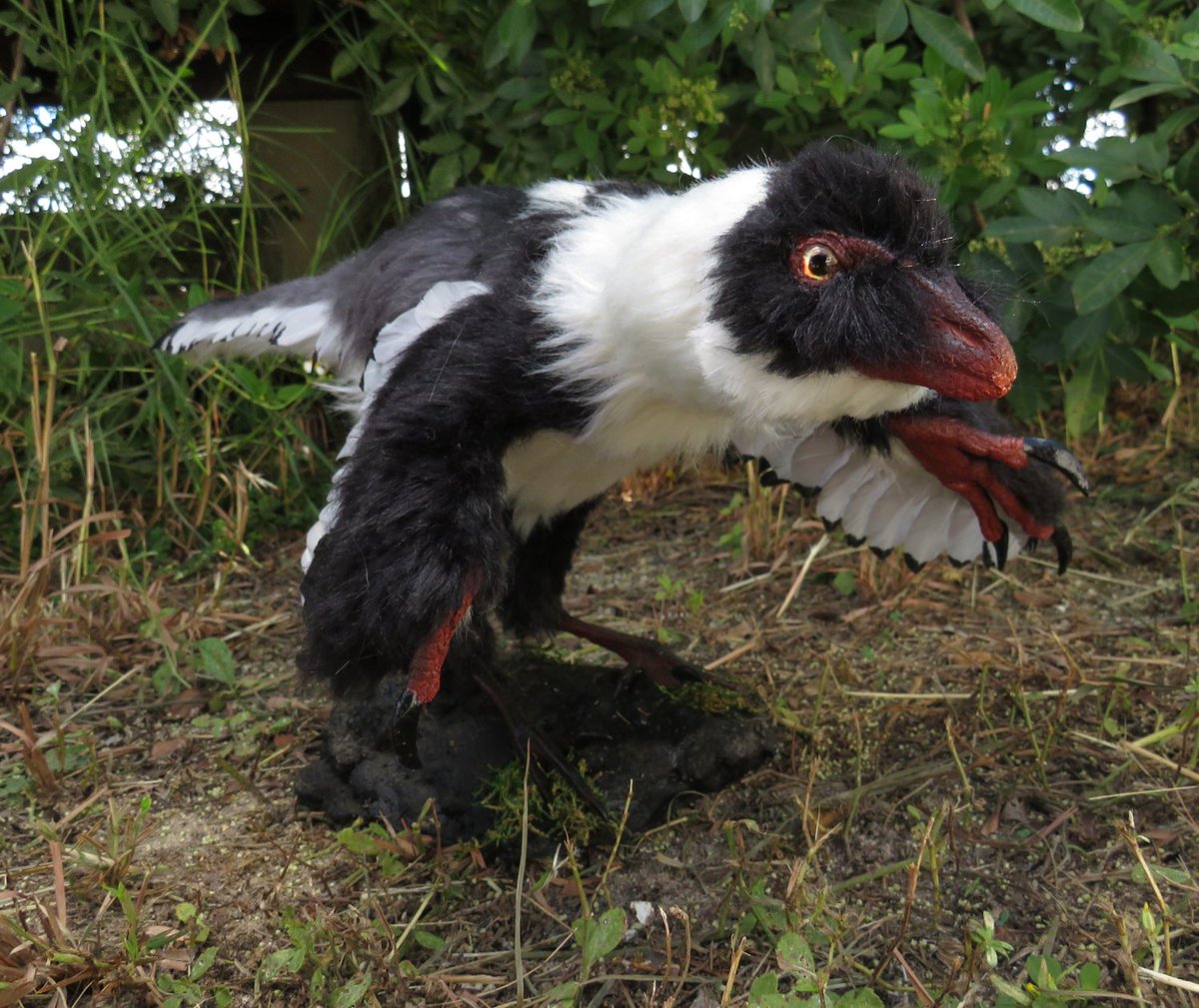 Lyn Joyce tweet media