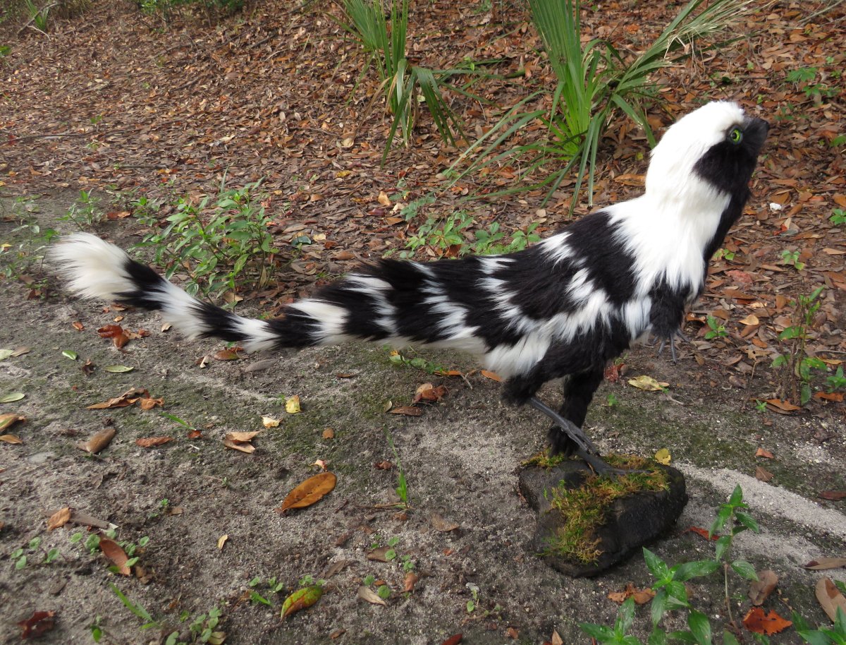 Lyn Joyce tweet media