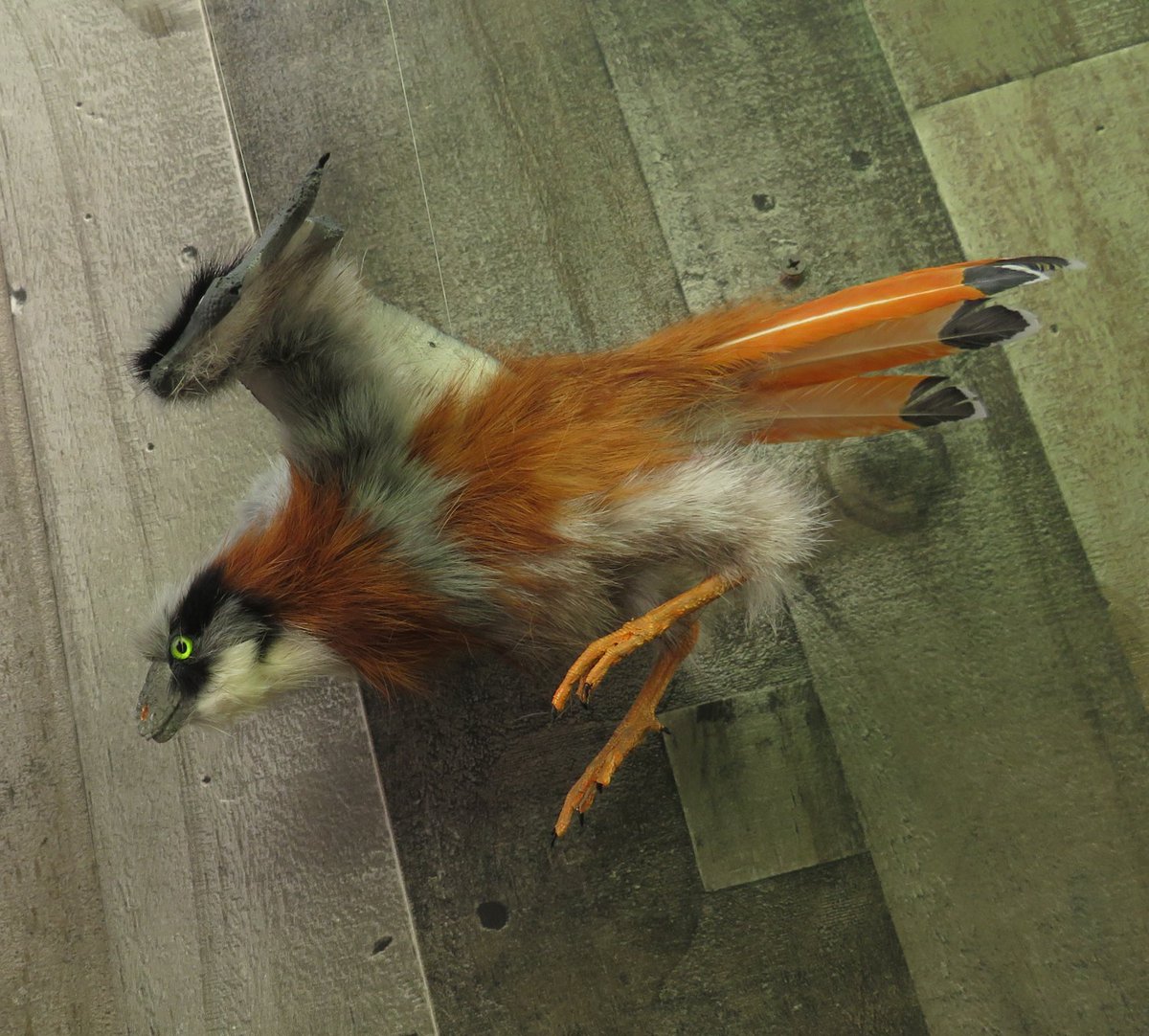 Lyn Joyce tweet media