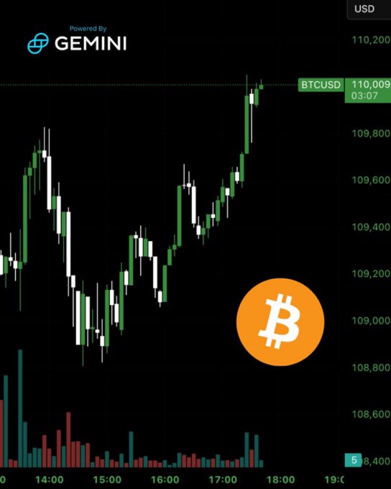 🟠BTC-ARCHIVE: "Il Bitcoin supera i 110.000 dollari"