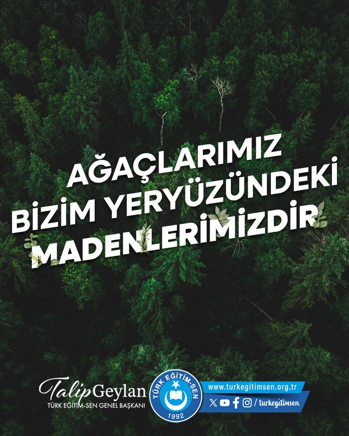 A dense forest with green trees under daylight. White text overlay reads "AĞAÇLARIMIZ BİZİM YERYÜZÜNDEKİ MADENLERİMİZDİR" in large letters. Smaller text at the bottom includes "Talip Geylan EĞİTİM GENEL BAŞKANI" and website links with a logo featuring a blue and white emblem.