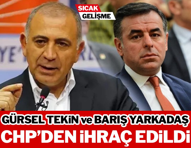 Sizler sokak kedisi bile olamazssınız ihanet şebekesi