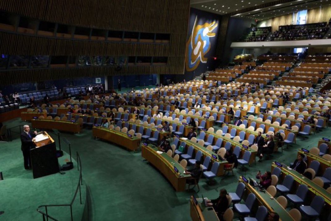 Bibi stands alone
