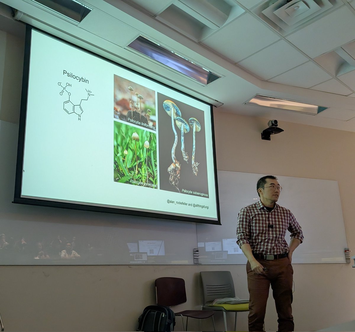 Leah Mayo tweet media