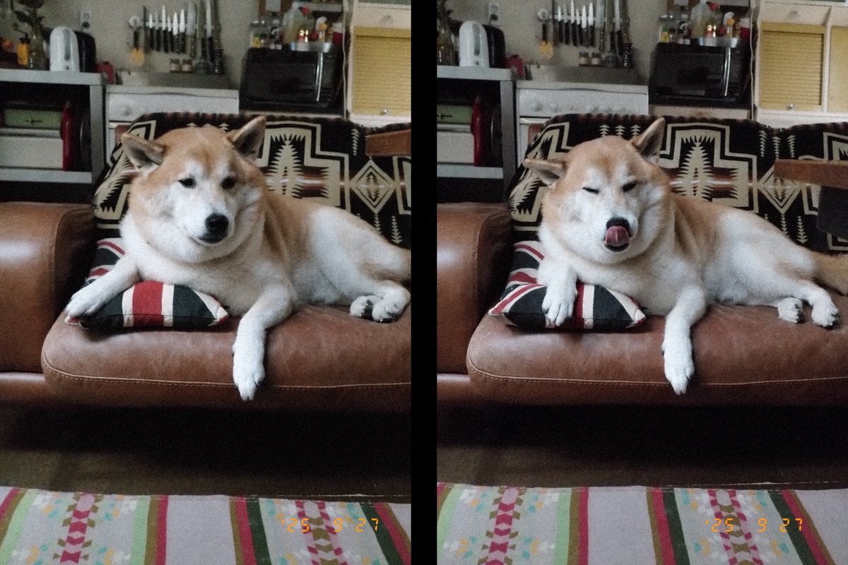 bubbledept's tweet image. しーちゃん

今がいつで　ここがどこで　自分が誰だかわからなくなること　なあい？