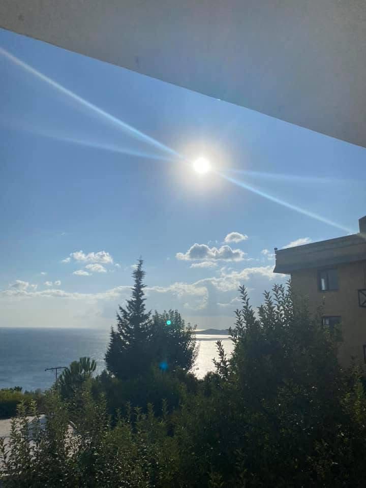 عيون المها 🇮🇶 tweet media