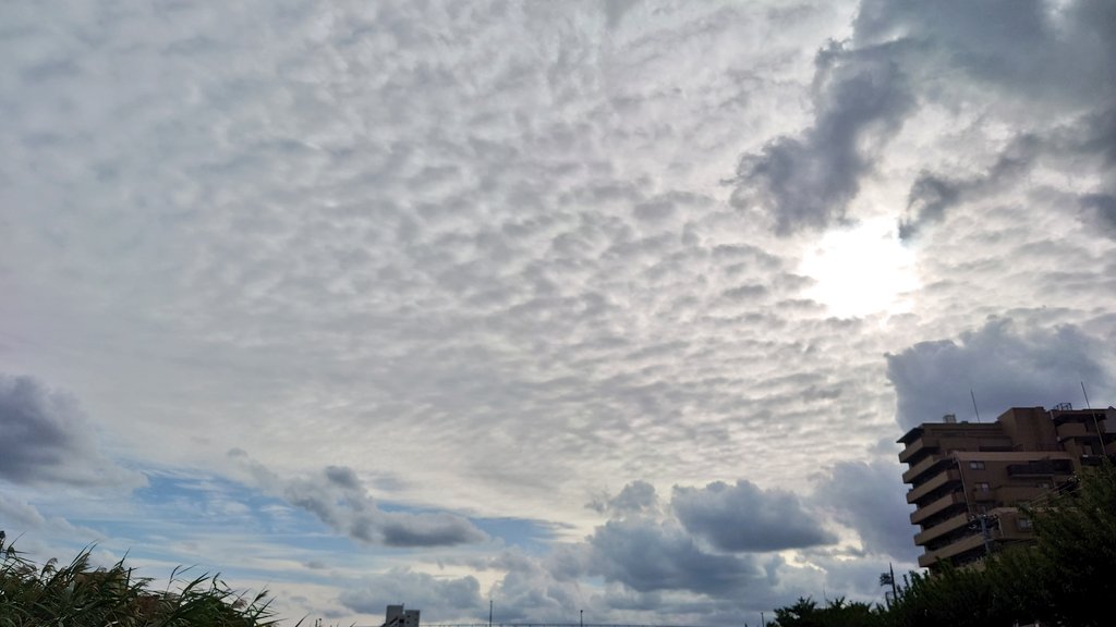 _dee_hii's tweet image. おはようございます☁☀

朝から整形外科
坐骨神経痛がよくならない
毎日の習慣と姿勢が極端に変わらないと
やっぱなかなか治らないかのかな

投薬治療があまり効果なかったので
今日は注射してもらおうかと思います

オシリに注射やだな🤣

てきとーにおだやかに😉

#みんなの風景写真 #空がある風景