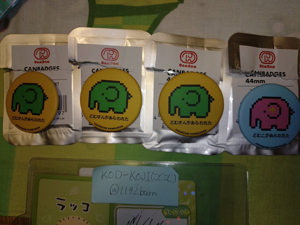KOD-KOJI(こどこじ) tweet media