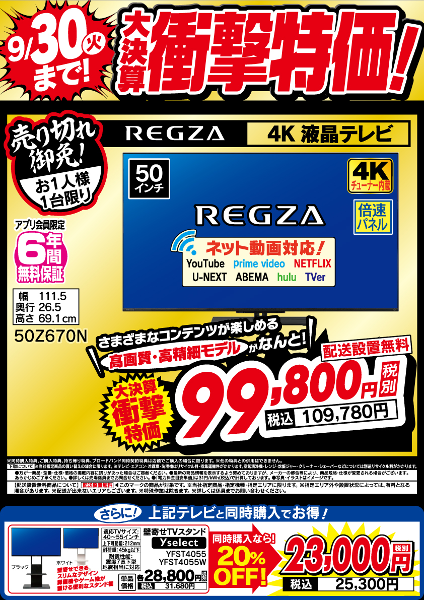 ピカソの決定版！定価35000円 9/30(火)まで！ ＼大決算衝撃特価‼／ #REGZA 4K 液晶 #テレビ 今週の