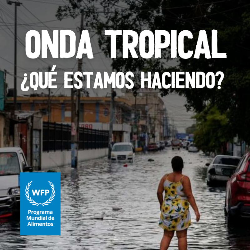 WFP_RD's tweet photo. 🌧️ La onda tropical #AL94 deja lluvias intensas en gran parte del territorio nacional.

⚠️ La plataforma ANACAONA está generando y facilitando información técnica y geoespacial al Gobierno y a las instituciones de primera respuesta.

Con el apoyo de @ECHO_LatAm 🇪🇺