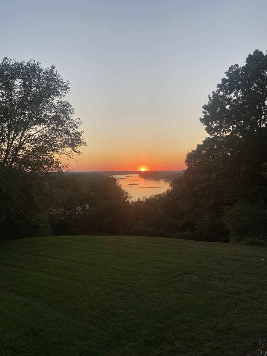 Tim Hanson tweet media