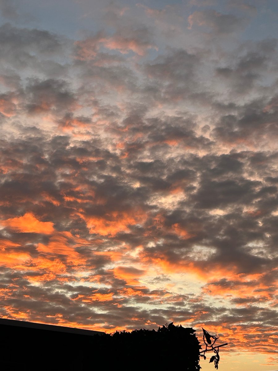 Maar ook vanaf ons  dakterras zijn mooie luchten te zien🤗