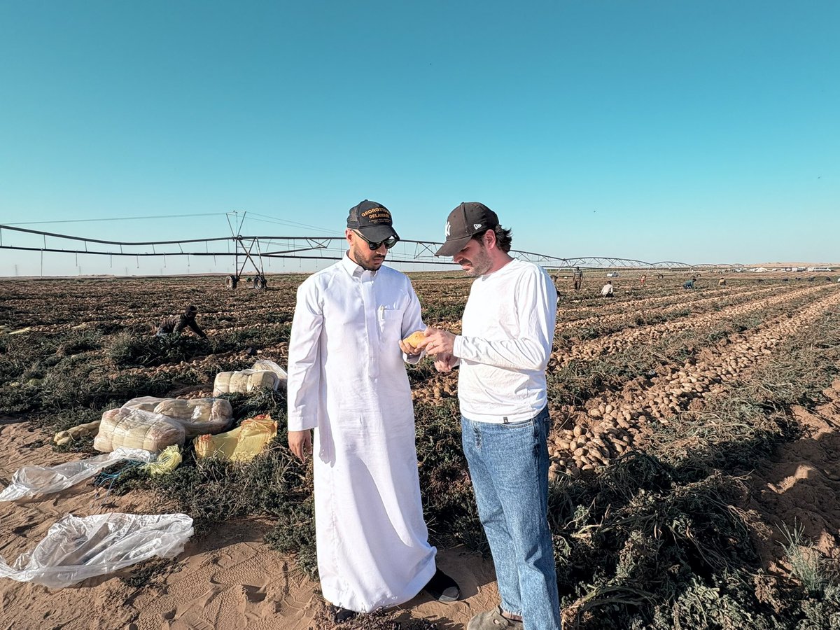 Nabt_app's tweet image. من الجوف
فريق نبت في زيارة لمزارعنا بالشراكة مع المزارعين المحليين 🌱

تفقدنا محصول البطاطس لتلبية احتياجات السوق السعودي ببطاطس طازجة ذات جودة عالية 🥔🇸🇦، نصل بها لعملائنا بكل ثقة وكفاءة.

#نبت #الأمن_الغذائي #الجوف