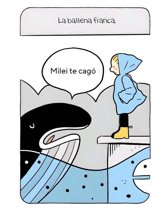 Estamos viendo libertarios militando el Cepo