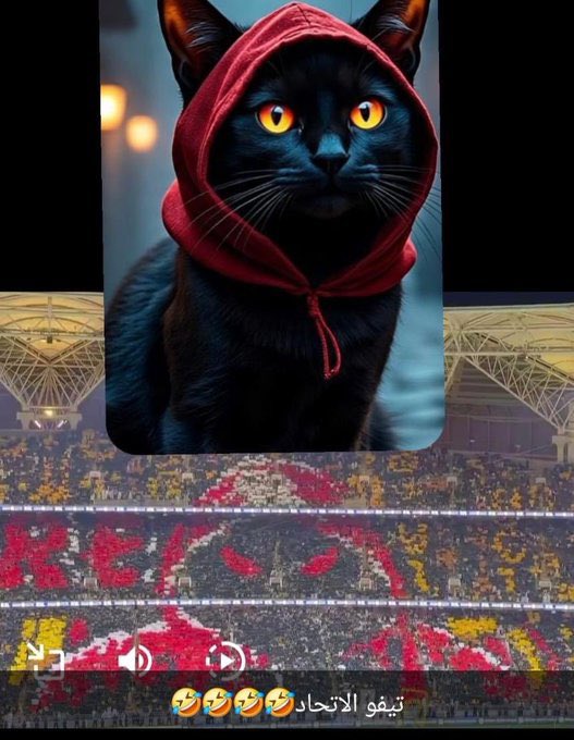 tt___40t's tweet image. #الاتحاد_النصر
ههههههههههههههههههههههههههههههههههههههههههههههههههههههههههههههه
زين اكلتم اثنين المفروض 5 يا صغير جدة
😂😂.