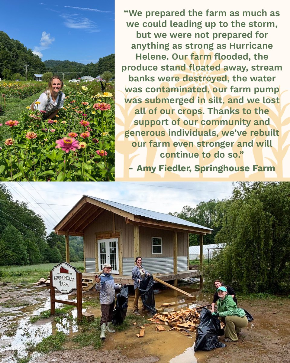 OGSNC's tweet image. One year after Hurricane Helene, farms across WNC are still rebuilding. 🌱💛 Read how Springhouse Farm found resilience through community: hubs.la/Q03L8_Qg0