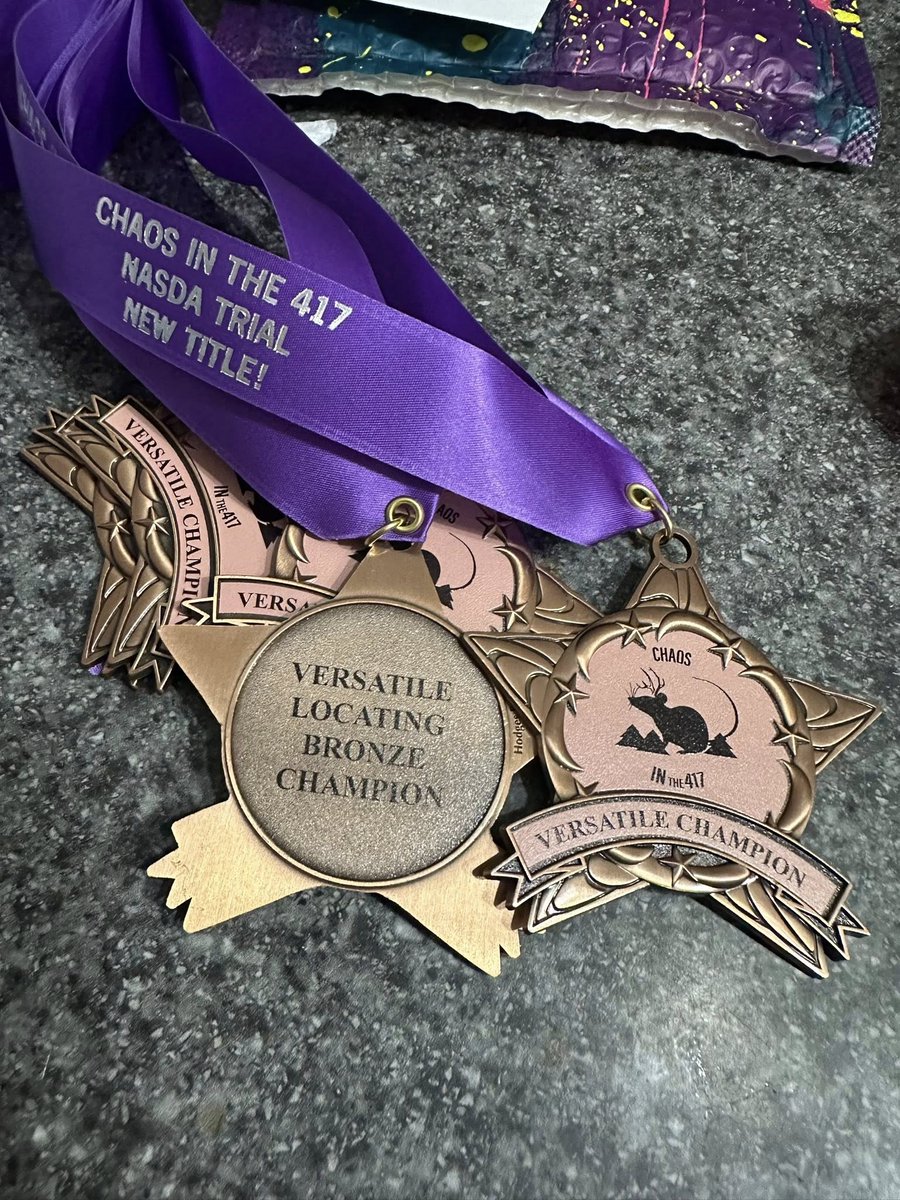 Hodges Badge Award Torch Medals - Gold Silver Bronze Finisher Medals With Red White Blue Ribbon | Bulk Pack Of 10