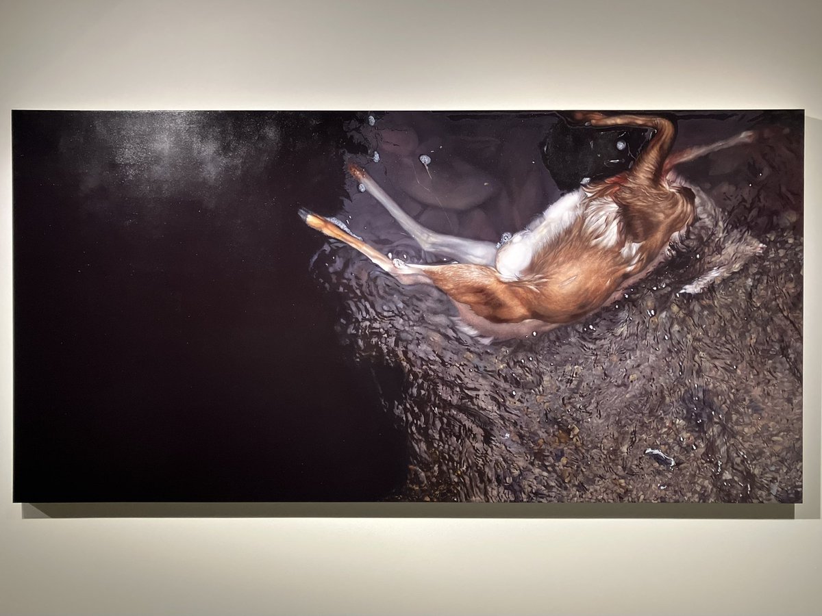 ギャラリー小柳「熊谷亜莉沙｜天国泥棒」001