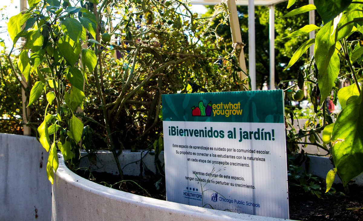 We celebrated our Garden Party at Irma C. Ruiz Elementary with <a href="/uie_natres/">U of I Extension</a> &amp; <a href="/chigrowsfood/">Chicago Grows Food</a> as part of our HUBS program! Guests learned safe harvesting, weed ID &amp; removal, enjoyed cooking demos, and built grow kits for home. 

Thank you to our partners and attendees for joining.🌱