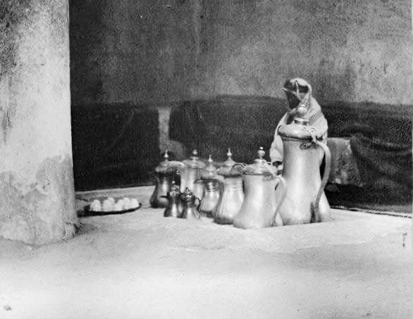 حداني على العزله وتقفيلة الجوال 
 همومٍ تغث القلب وتشتت احلامه