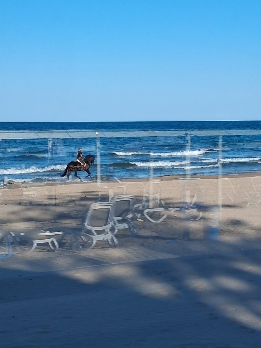 Horse rider on the beach, gorgeous late afternoon