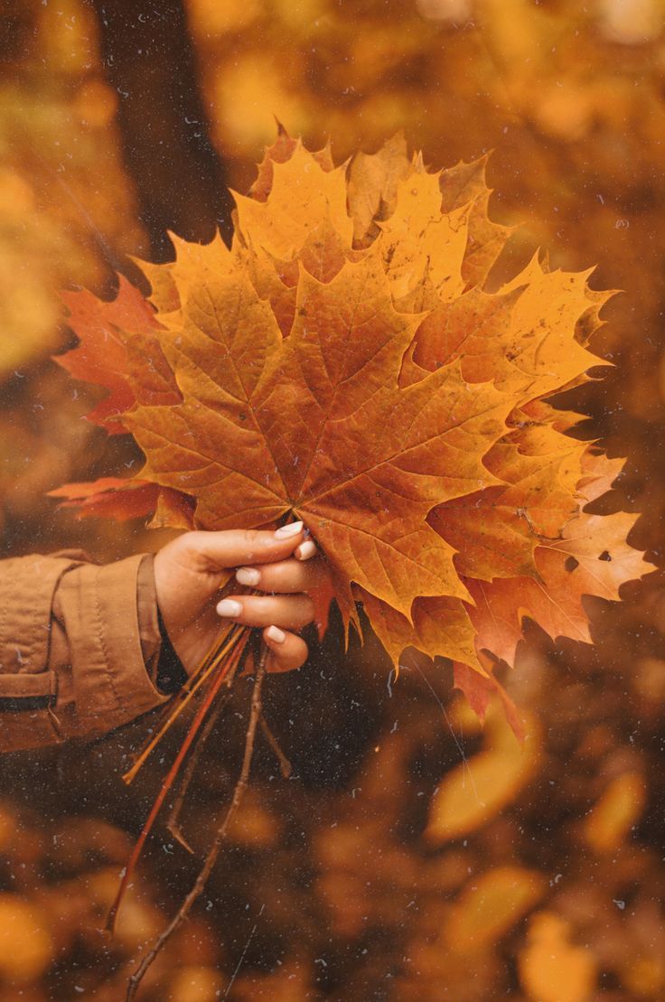 푸른기대 (@bluehopepe) on Twitter photo 