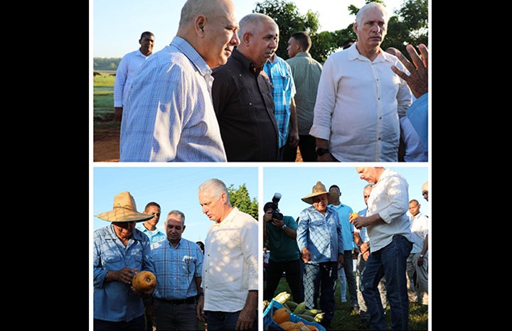 Díaz-Canel constata avance de la producción agroecológica y porcina en Mayabeque
cubadebate.cu/noticias/2025/…