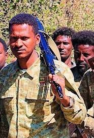 BREAKING:

Just hours ago, ENDF Colonel Habtamu Assefa has defected to AFNF.

In addition, 8 other soldiers have defected, and the city of Mekaneselam has been secured.

The main city of Legahida Woreda in South Wollo Zone, Yona Amba town, has come Fano under control.