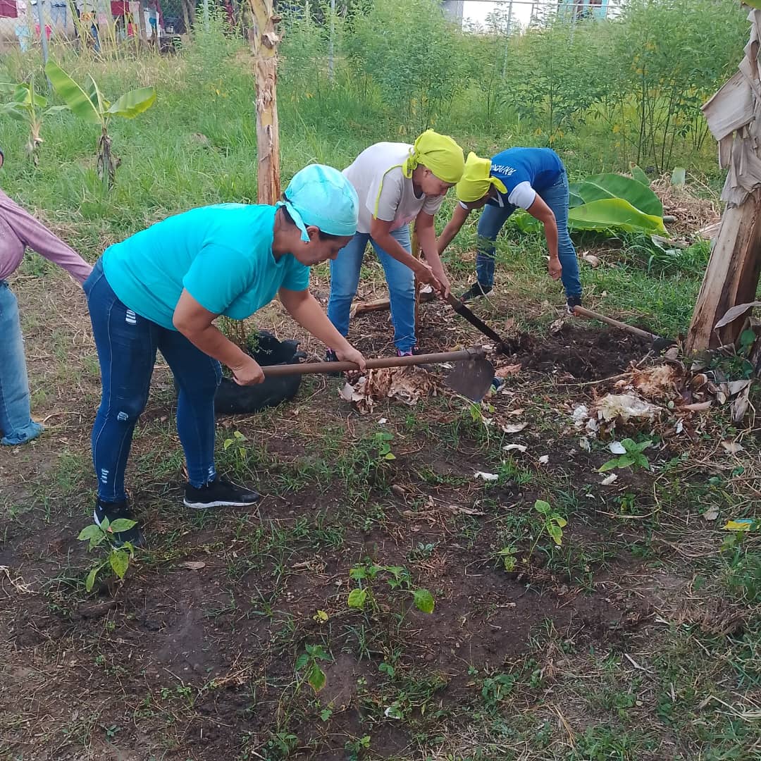 Mano a la siembra madres cocineras