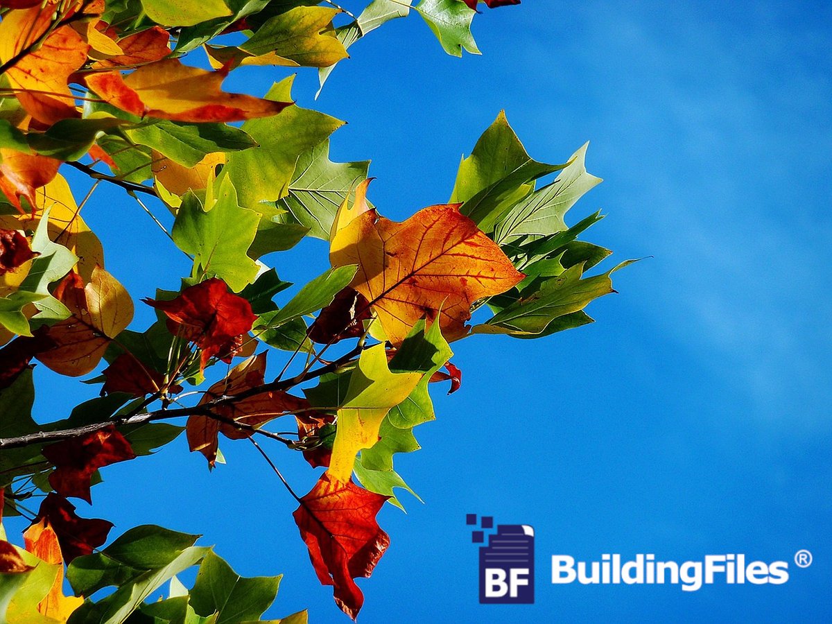 BuildingFiles's tweet image. The seasons may change but the power and dependability of BuildingFiles® remains the same year-round. For more info, a free presentation or to register an account visit BuildingFiles.com 🏗️ #construction #constructionlife #architect #engineer #sustainable #autumn