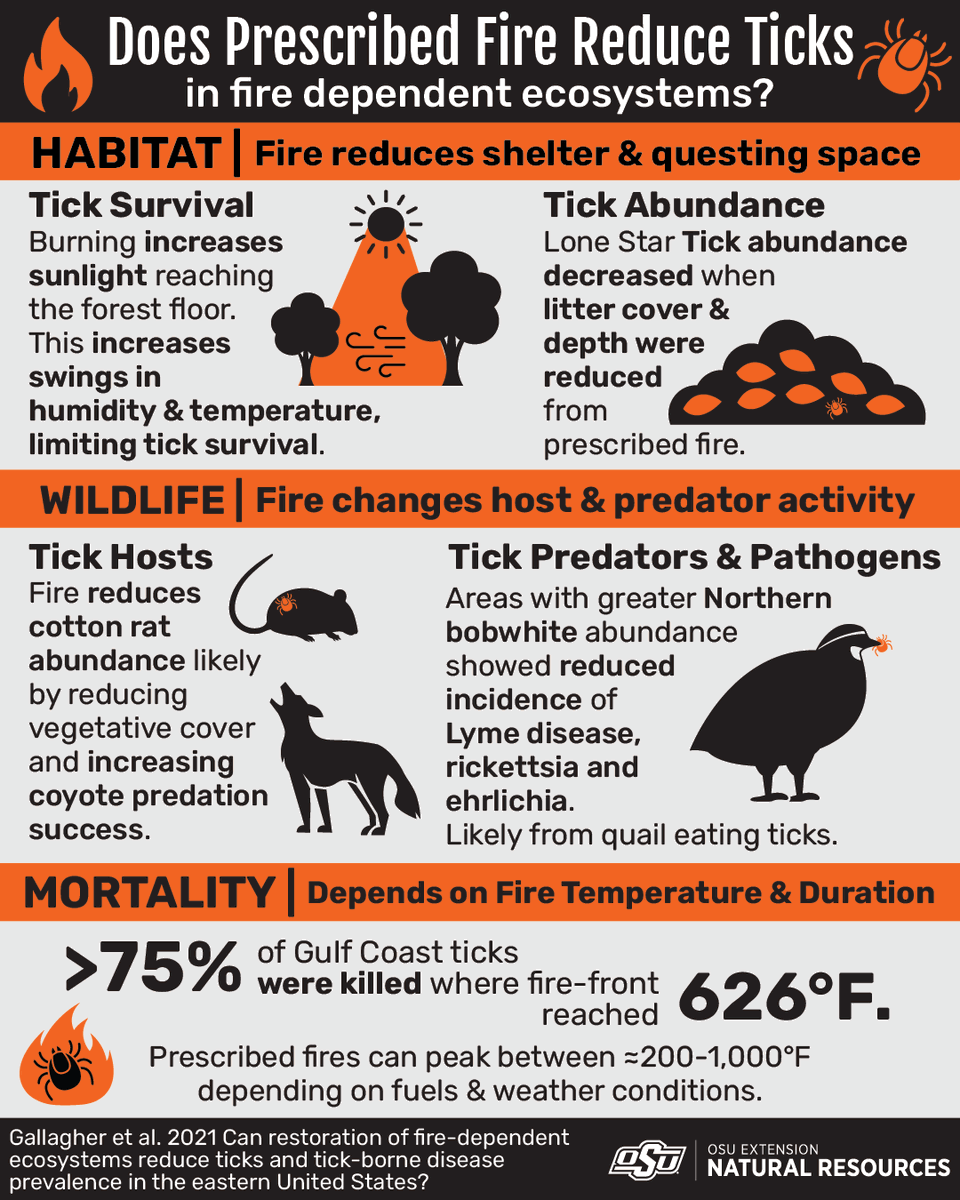 Does Prescribed Fire Reduce Ticks in Fire Dependent Ecosystems?

HABITAT | Fire reduces shelter &amp; questing space
Tick Survival: Burning increases sunlight reaching the forest floor. This increases swings in humidity &amp; temperature, limiting tick survival.
Tick Abundance: Lone Star