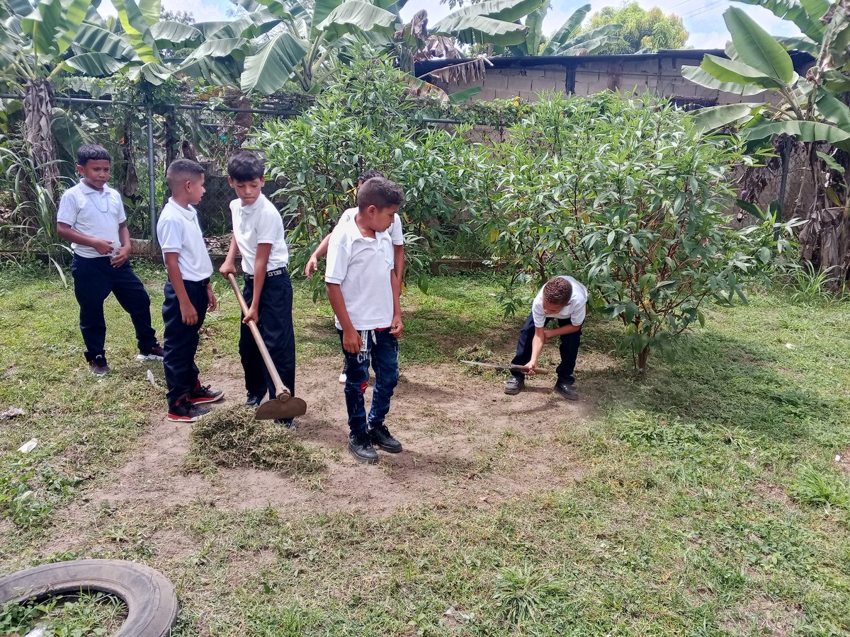 Mano a la siembra educación primaria
