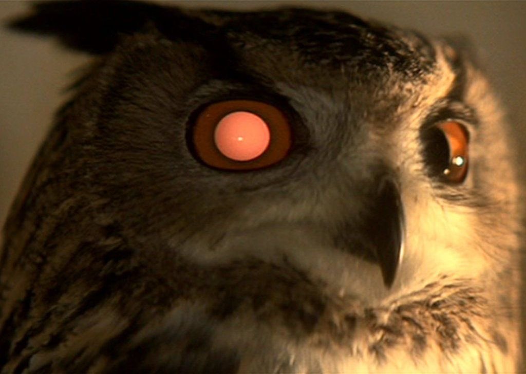 Do you remember when you wanted to be someone?