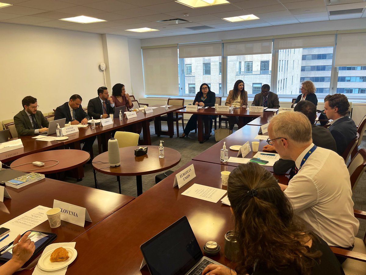UNOSAPG's tweet image. ‘R2P Focal Points play a vital role in operationalizing the principle of R2P’ &amp;amp; ‘in supporting exercise of sovereignty constructively’ – Special Advisers on Prevention of Genocide Beyani &amp;amp; on R2P Bleeker today at #UNGA80 informal meeting of the Global Network of R2P FPs #R2Pat20