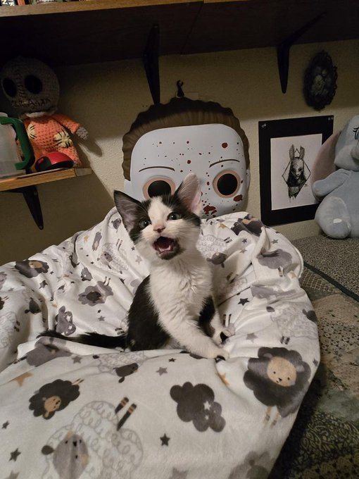 𝕮𝖗𝖎𝖒𝖘𝖔𝖓 𝕽𝖊𝖆𝖕𝖊𝖗 💀 tweet media