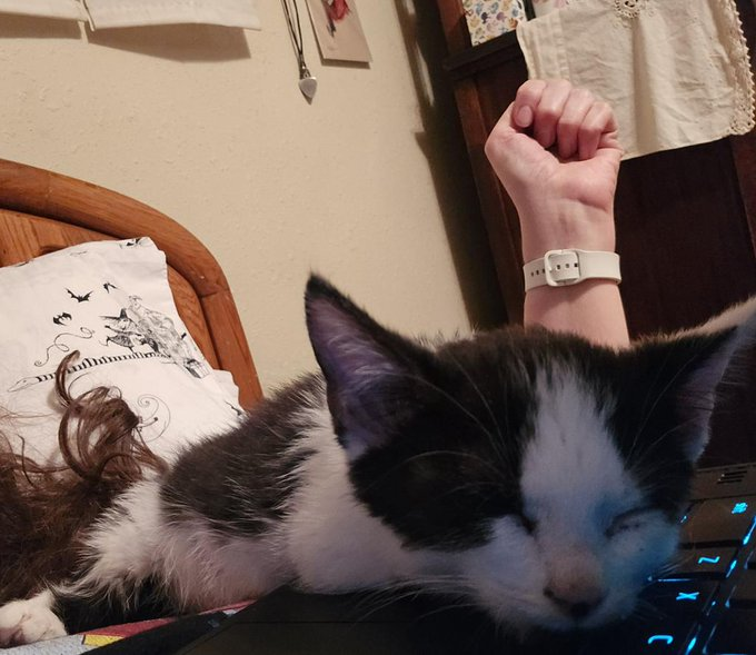 𝕮𝖗𝖎𝖒𝖘𝖔𝖓 𝕽𝖊𝖆𝖕𝖊𝖗 💀 tweet media