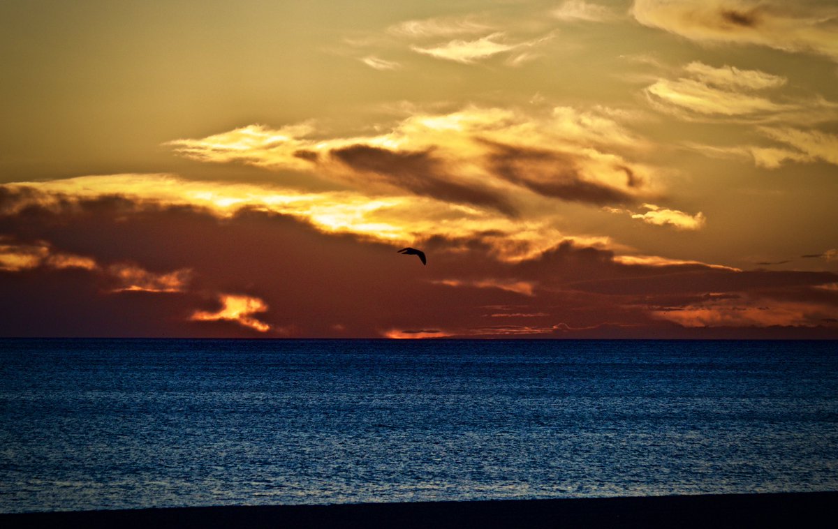 iamNerdo's tweet photo. Sunsets at the Beach are always a destination 💯 https://t.co/EYdsTjTl8T