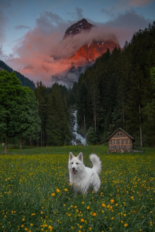 ᅠ ᅠ (@greendreaams) on Twitter photo 