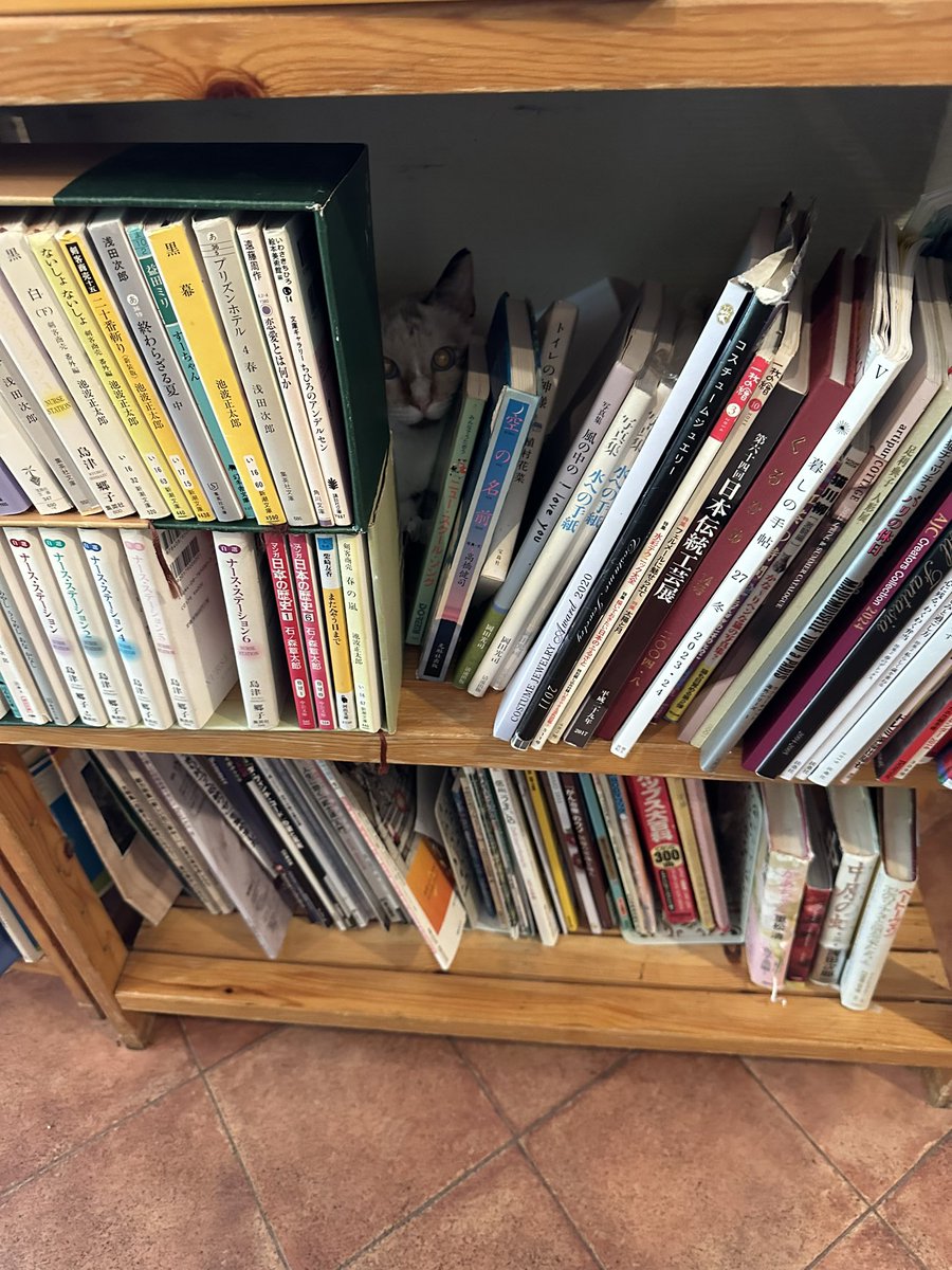 gnu_high's tweet image. おかわり頂けただろうか…