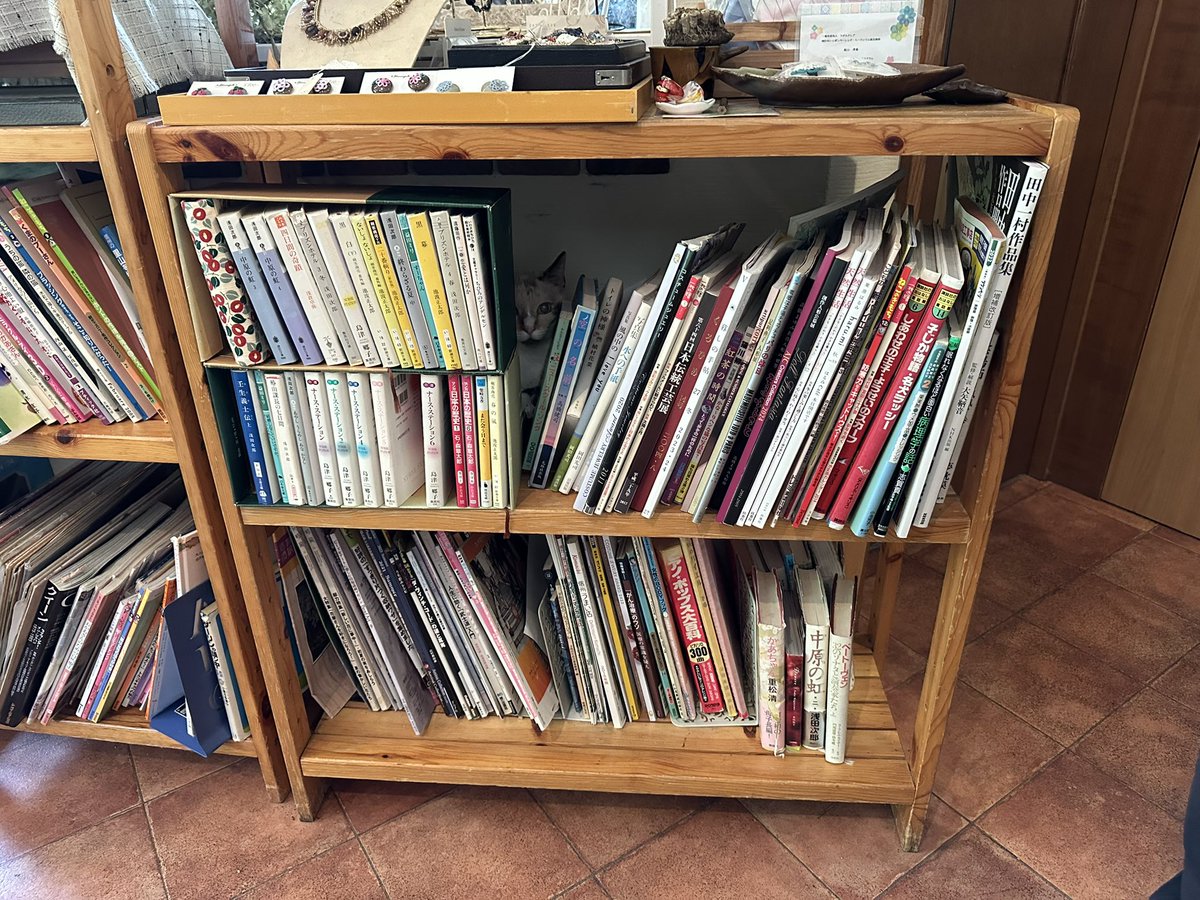 gnu_high's tweet image. おかわり頂けただろうか…