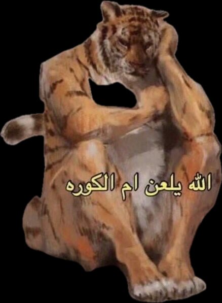 #الاتحاد_النصر