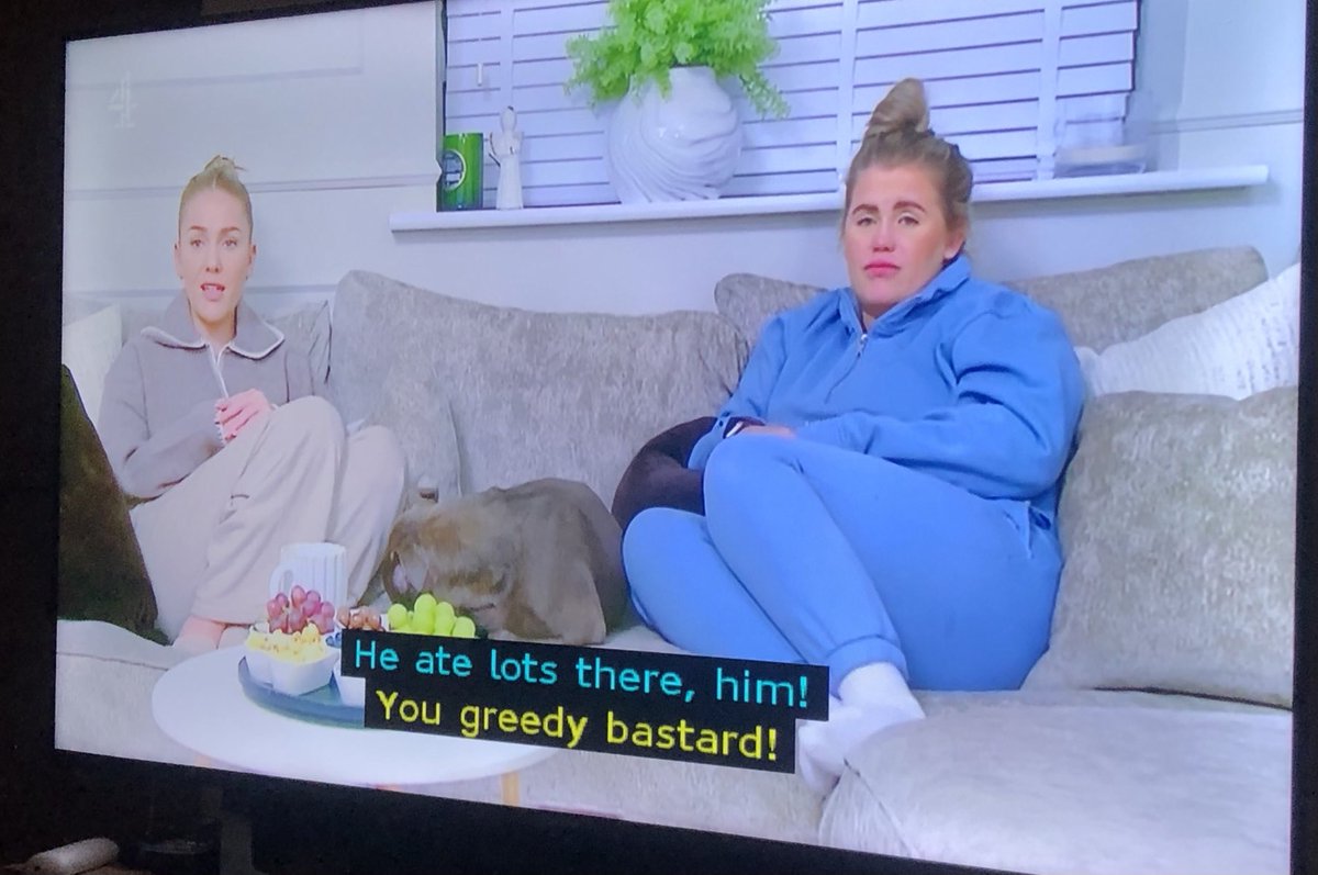 Grimfran's tweet image. Just hope that dog doesn’t eat those grapes #gogglebox