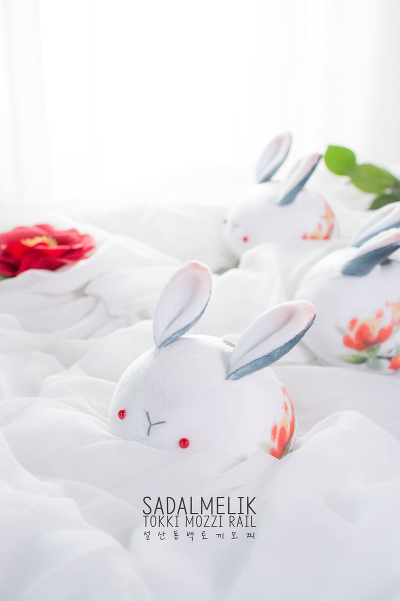 bellrail's tweet image. ❤️RT+팔로우 이벤트🎉
마침 오늘,  9월 넷째주 토요일은
세계 토끼의날🐇이예요
둔실한 저희집 토끼와 눈뽀뽀는 어떠신가요
둔둔토끼전문점에서 추첨으로 품에 보내드려요💕🎁