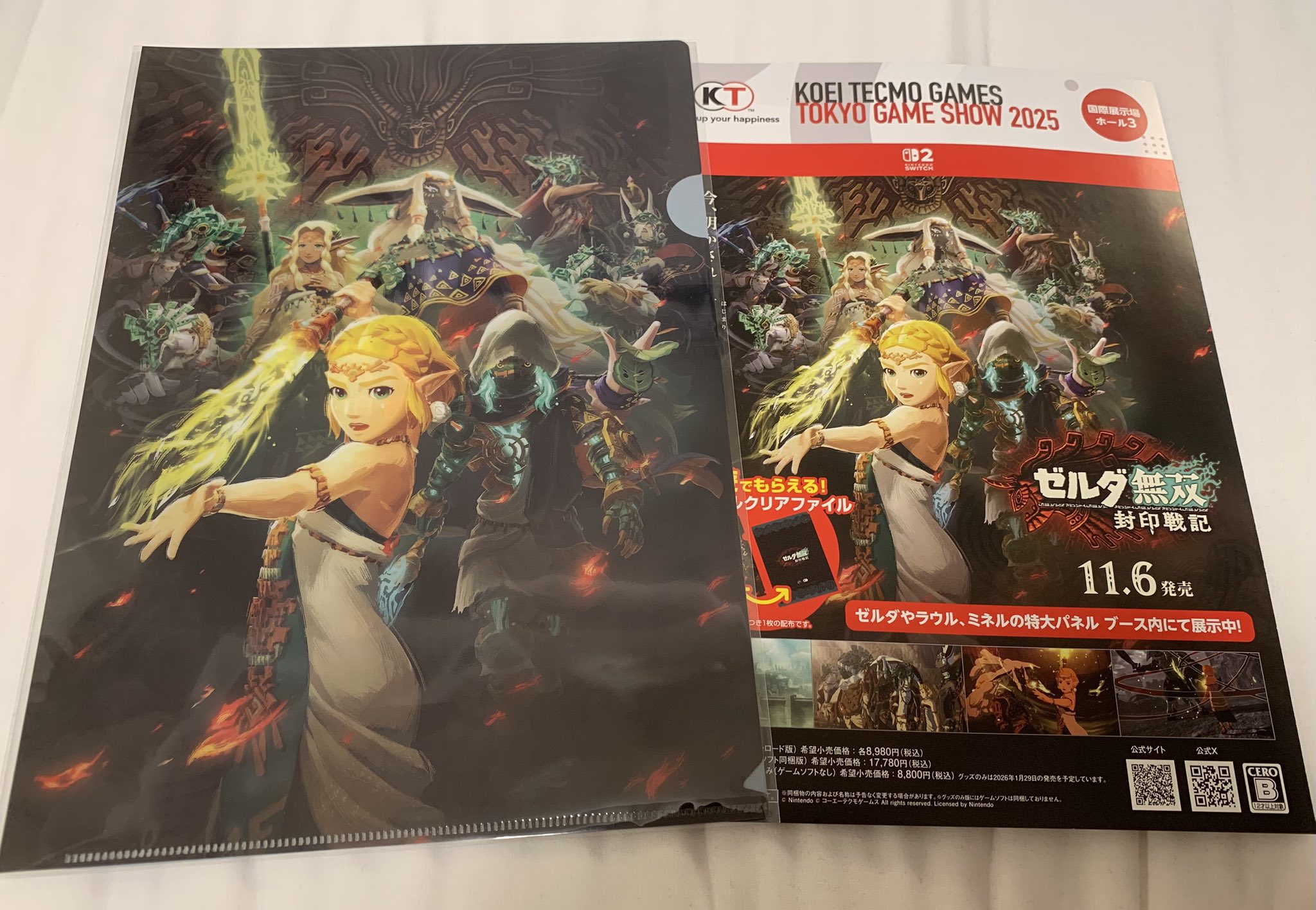 ゼルダ無双 封印戦記 TREASURE BOX（A4クリアファイル付き） ゼルダ